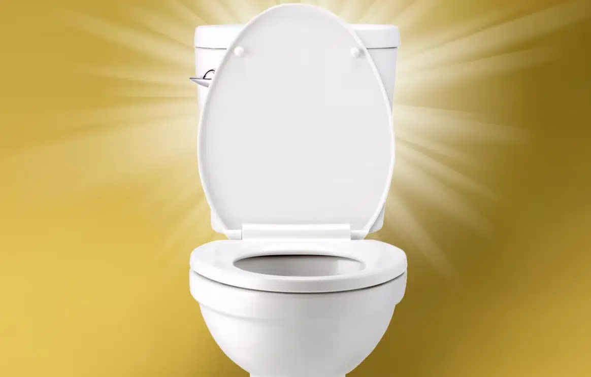 بهترین توالت خارجی
